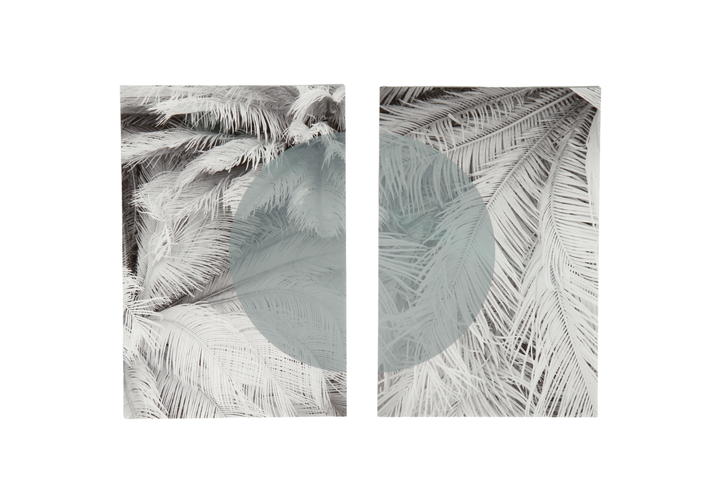 Moon Palm I