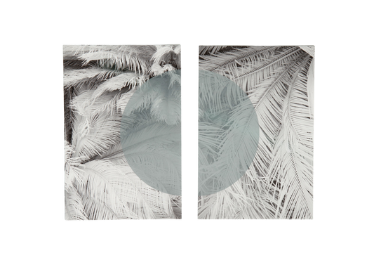 Moon Palm I