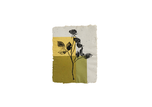 In Bloom